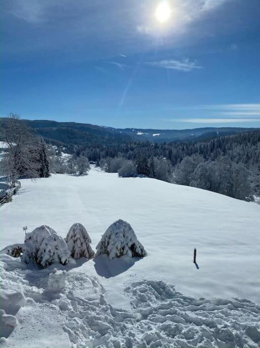 Appartement Lumineux Avec Vue Sur Les Montagnes Morbier Eksteriør bilde