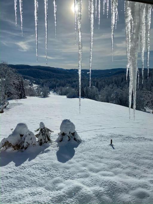 Appartement Lumineux Avec Vue Sur Les Montagnes Morbier Eksteriør bilde